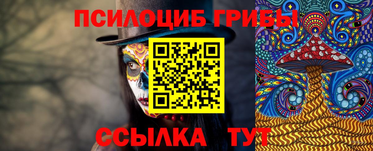 где найти наркотики  Вход с VPN  Донской  Псилоцибиновые грибы мицелий 